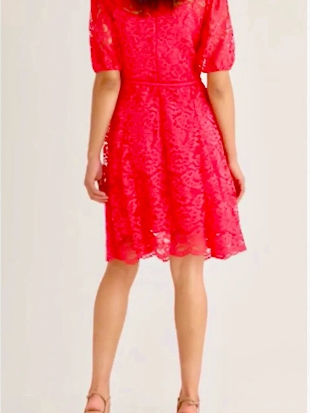 Tahari ASL Scallop Hem Raspberry Lace Fit & Flare Dress Size 10 MSRP $159 NWOT - Picture 4 of 8